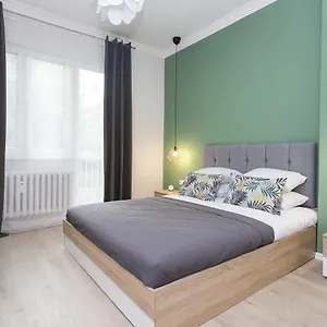The Cozy Apartment, Sofía